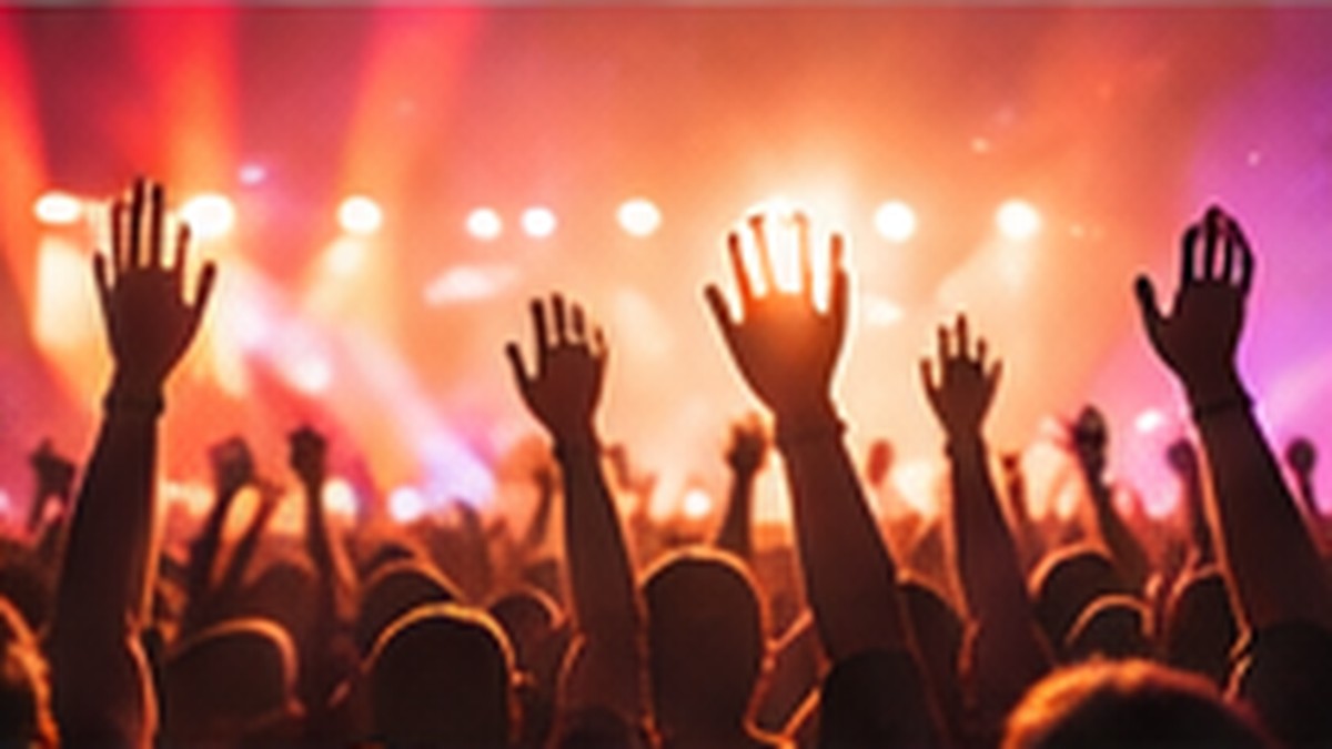 Público com as mãos levantadas durante um festival de música